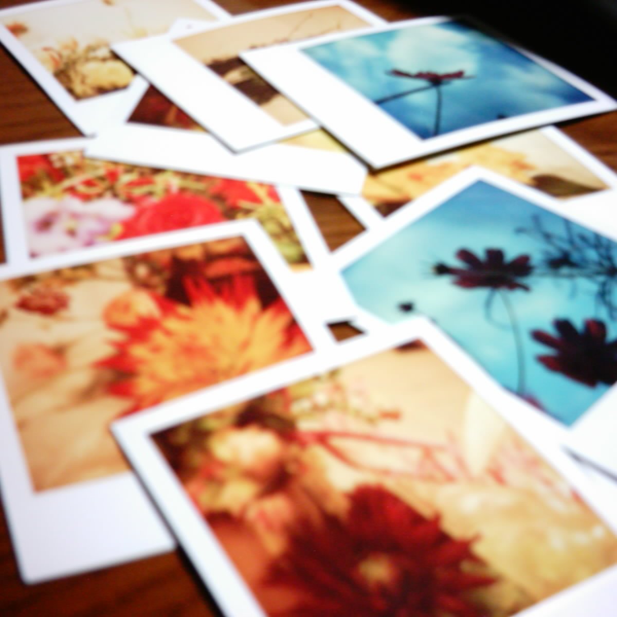 ”How to create a photo calendar: images” ”Images to use for creating a photo calendar”