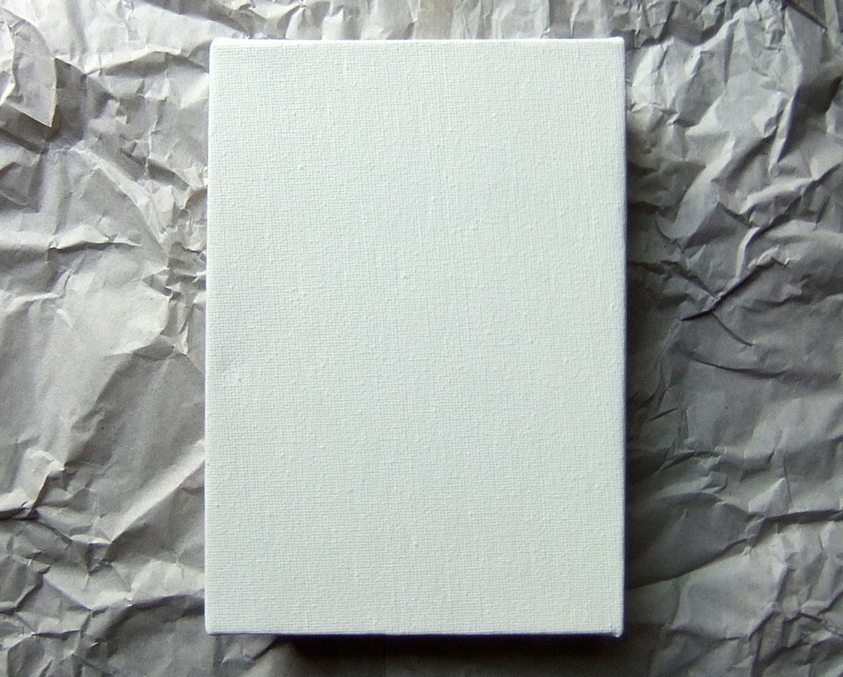 An unprinted canvas