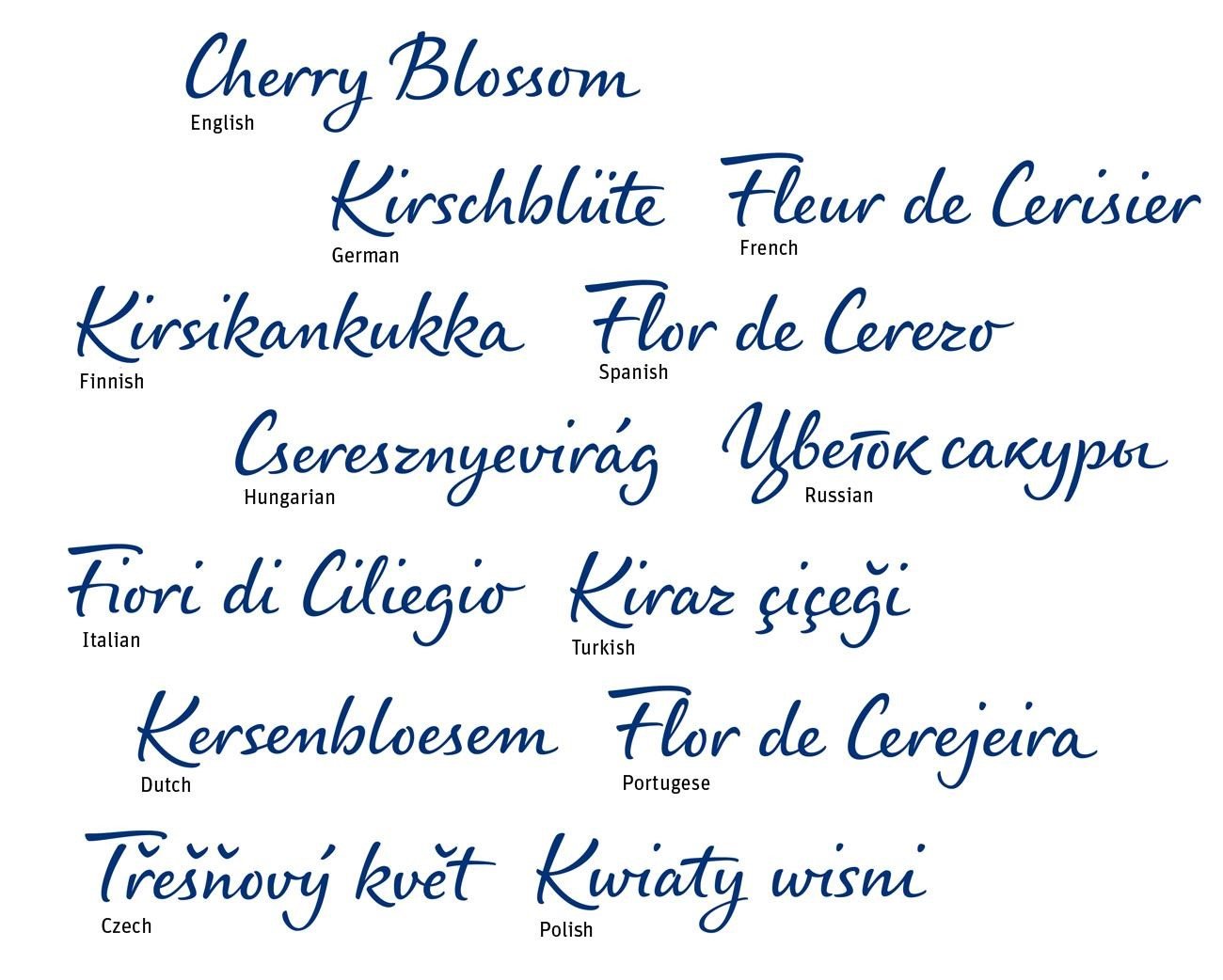 The font is available in over 100 languages.