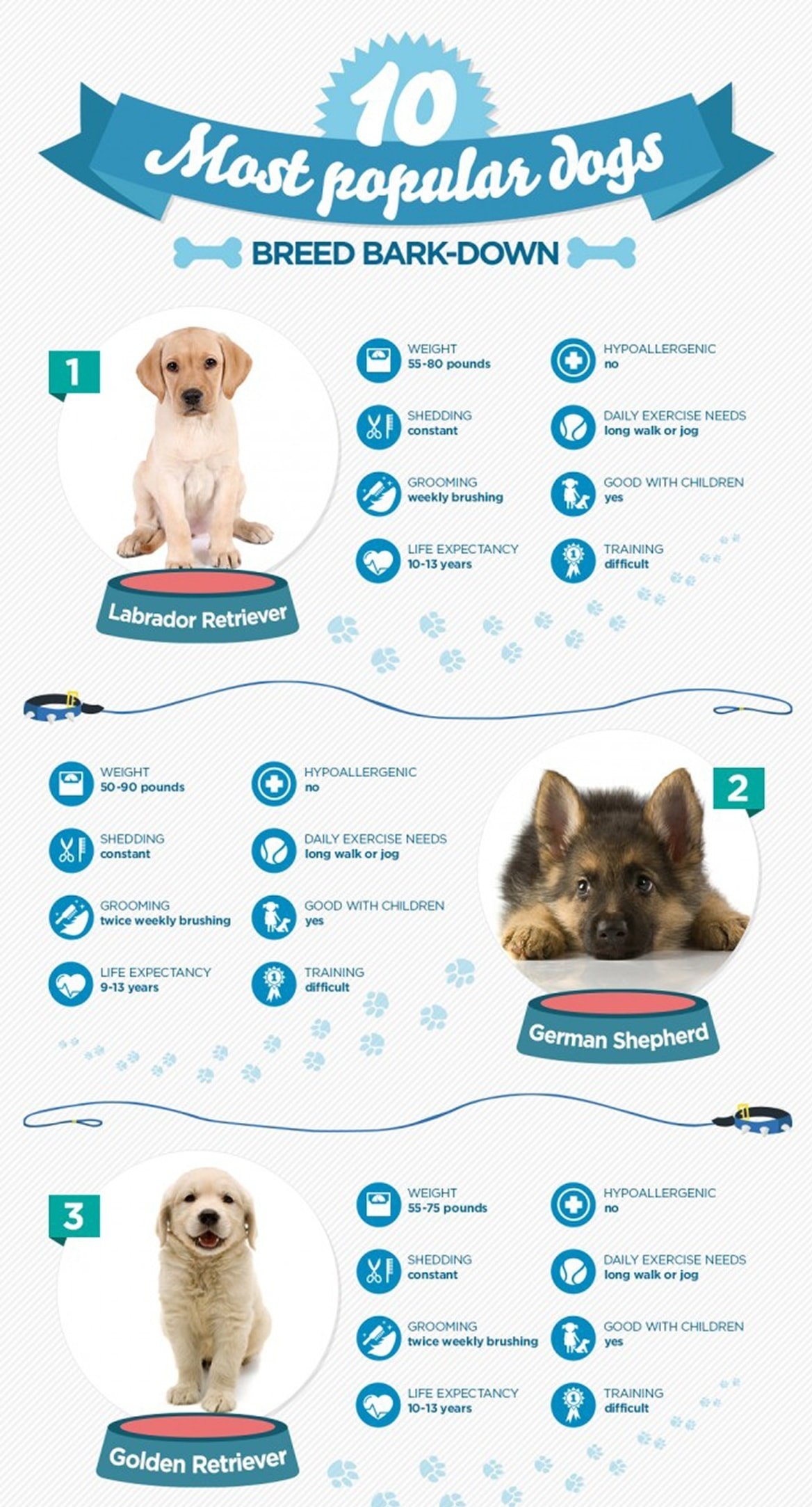 Creare un'infografica bene vuol dire mostrarne in modo chiaro il significato