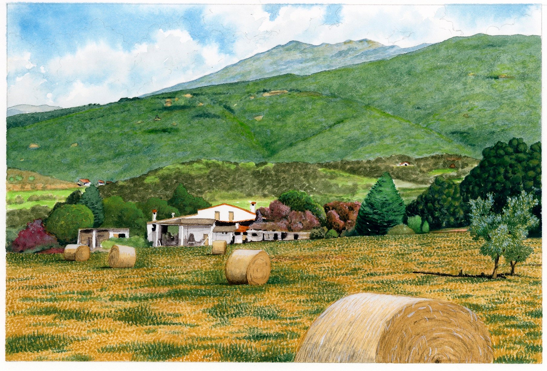 Immagini di proprietà di Charles Puche: https://carlespuche.com/ Immagini di proprietà di Charles Puche: https://carlespuche.com/