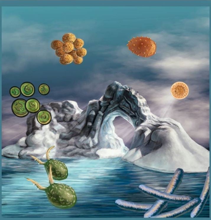 Image owned by Maria Lamprecht: Image owned by Maria Lamprecht: