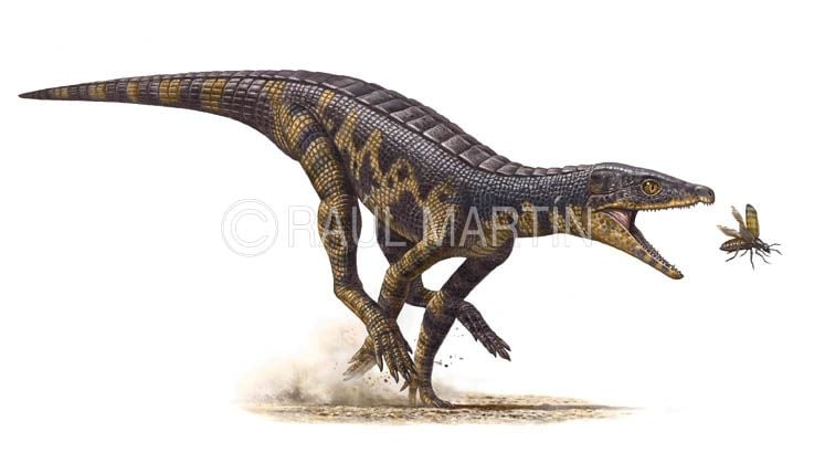 Immagine di proprietà dell'illustratore e paleoartista Raúl Martín: