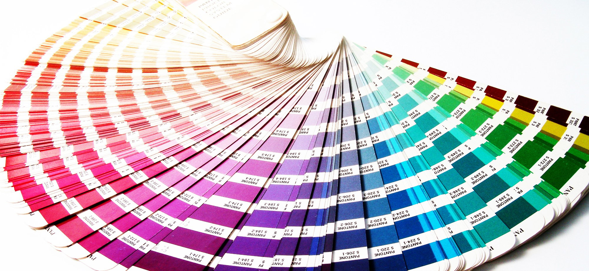 The Pantone App For Finding The Colours All Around Us