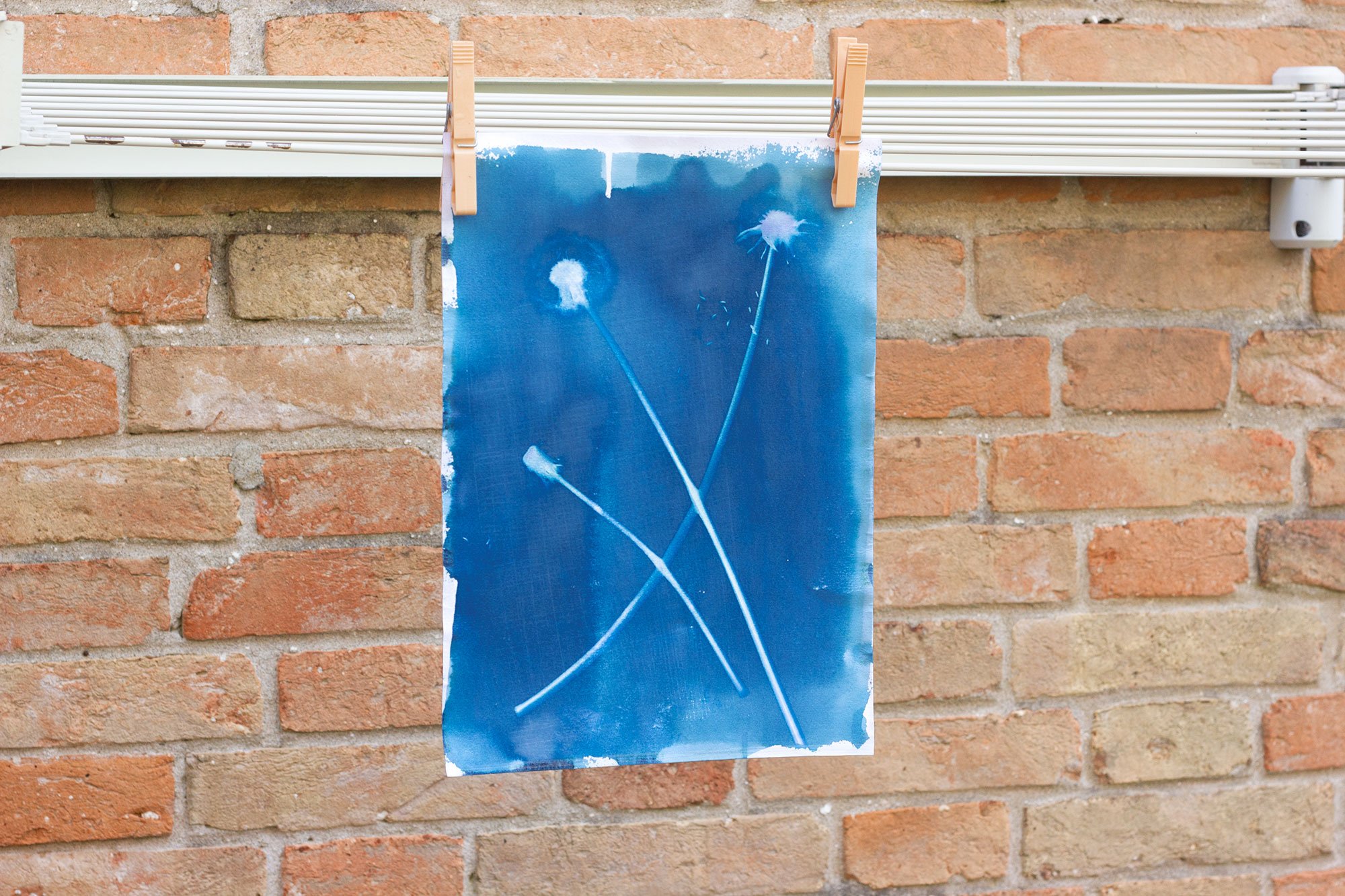 Cyanotype Set reates a blueprint or pictures with Cyanotype Kit 100ml 