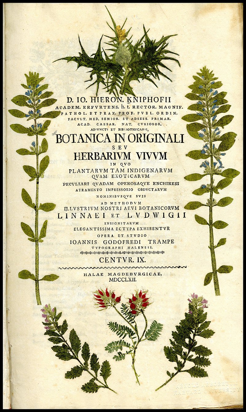 Botanica in originali