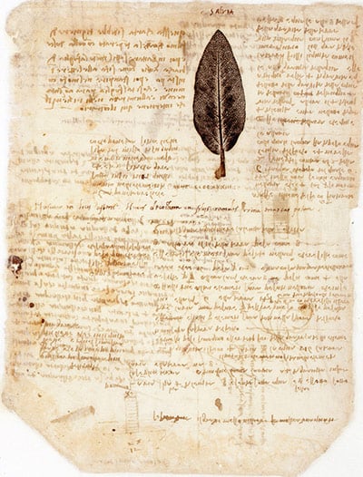 Foglio 197 Codice Atlantico Ficha 197 Atlantic Codex
