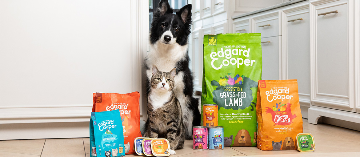 Packaging per pet food: esempi creativi