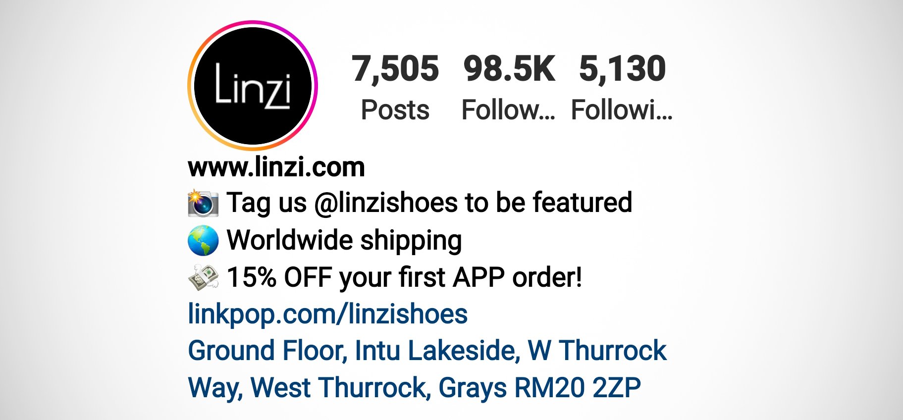 Linzi.com corporate bio on instagram