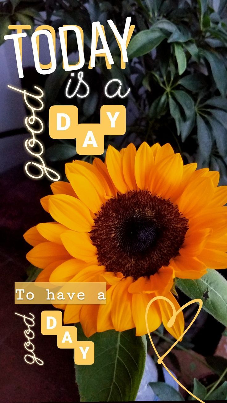 Decorations with lettering on Instagram