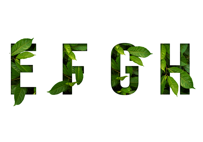Lettering: guida semplice per imparare