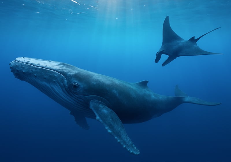 #Powercolours: il colore blu