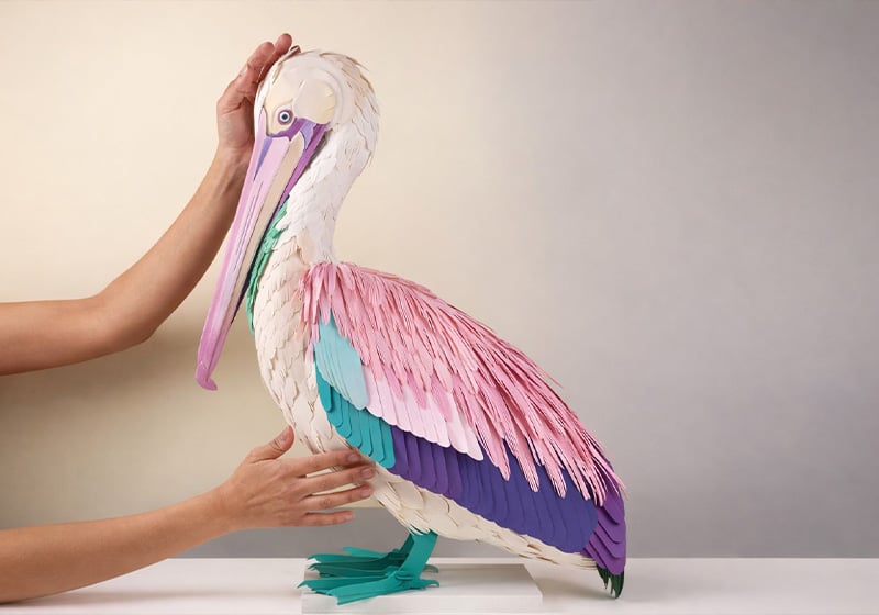 La flora e la fauna di Diana Beltrán Herrera